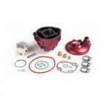 9908770 - Segmento D. 47 mm per kit Racing E2