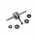 9925910 - Albero motore completo TPR corsa 39,2 spinotto 10