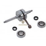 9926180 - Albero motore completo TPR corsa 39,3 spinotto 12