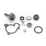 AA00806 - Kit revisione pompa acqua per motore scooter Minarelli/Yamaha YP 250/270 cc