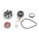 AA00812 - Kit revisione pompa acqua Honda Pantheon 125/150 cc 2T