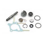 AA00814 - Kit revisione pompa acqua Honda Foresight 250 cc 4T