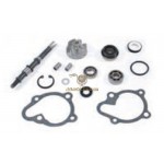 AA00815 - Kit revisione pompa acqua Kymco 125/150 cc 4T