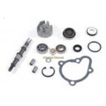 AA00816 - Kit revisione pompa acqua Kymco 250 cc 4T