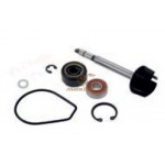 AA00818 - Kit revisione pompa acqua Yamaha Majesty 400cc