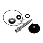 AA00824 - Kit revisione pompa acqua Piaggio 500cc Euro3