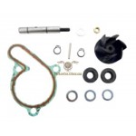 AA00825 - Kit revisione pompa acqua Derbi d50b0 (motore Piaggio)