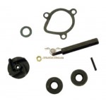 AA00827 - Kit revisione pompa acqua Derbi ebs050 (vecchio modello)