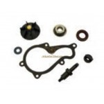 AA00829 - Kit revisione pompa acqua Piaggio Beverly 350 cc