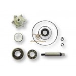 AA00834 - Kit Revisione Pompa Acqua Honda PCX 125cc