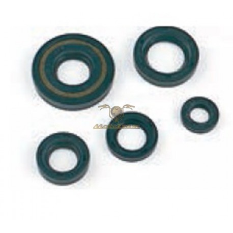 K070110 - Serie paraoli banco Piaggio Beverly 125/200 4T