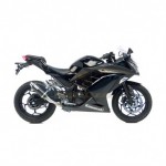 3293 - EXHAUST SLIP-ON LEOVINCE GP CORSA CARBON FIBER